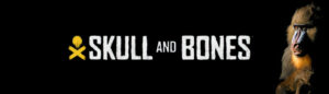Skull And Bones Banner
